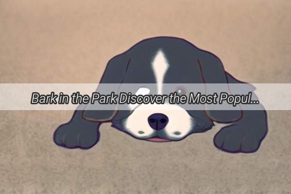 Bark in the Park Discover the Most Popular Pups in Guangdongs Pet Market